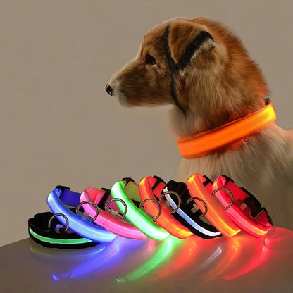 Coleira Nylon LED noite segurança Piscante, coleira para não perder o cachorro no escuro