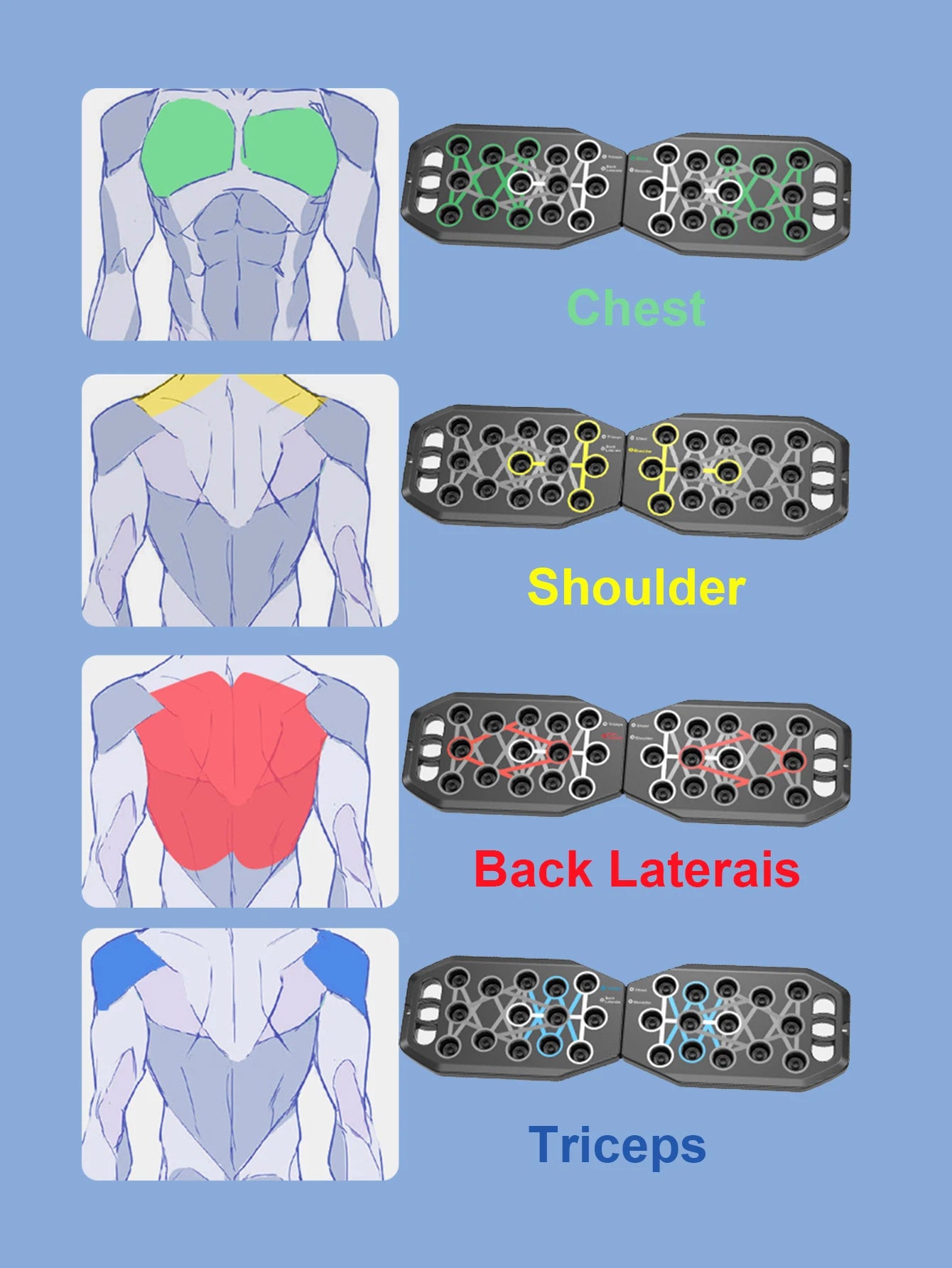 Multi-Funcional Tábua de Flexões, Barras de Apoio, Treino em Casa Profissional, Equipamento de Academia Portátil