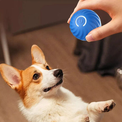 Bola Rolante Automática Inteligente para Cachorro e Gato, Bola saltitante, Brinquedo eletrônico interativo para cachorro